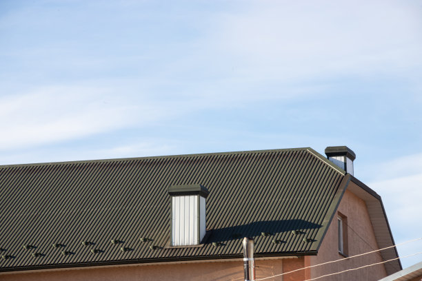 新的屋顶结构，阁楼天窗，雨水排水沟系统，屋顶窗户和屋顶保护，防雪板，防雪外墙图片下载