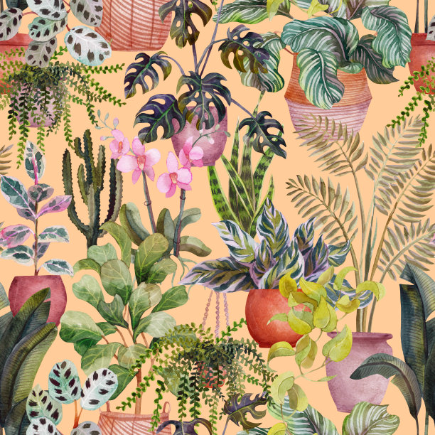 水彩花卉无缝图案与家庭热带植物。花的背景图片下载