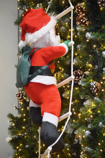 新年的圣诞老人图片下载