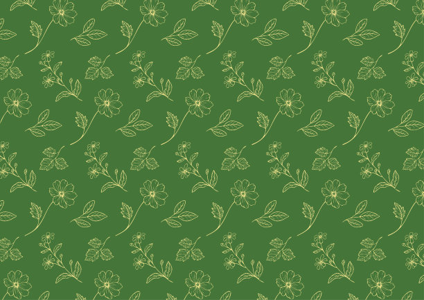 花卉插图的图案，线条艺术图片下载