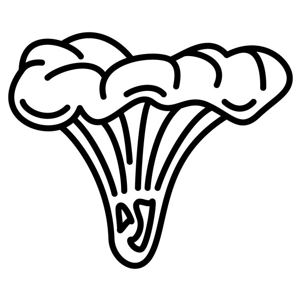 鸡油菌、食用蘑菇。标志，蘑菇采摘地点，菜单项。森林蘑菇，天然食品。矢量图标，轮廓，孤立图片下载