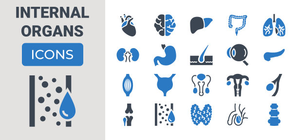 内脏图标设置图片下载