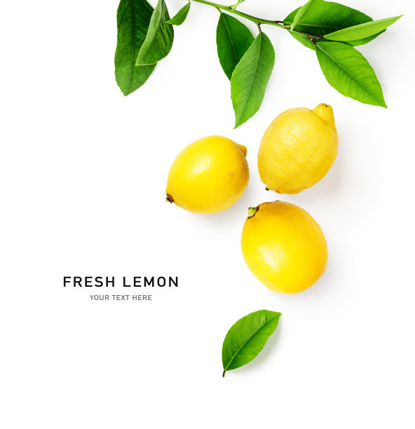 绿叶和柠檬果创意布局图片下载