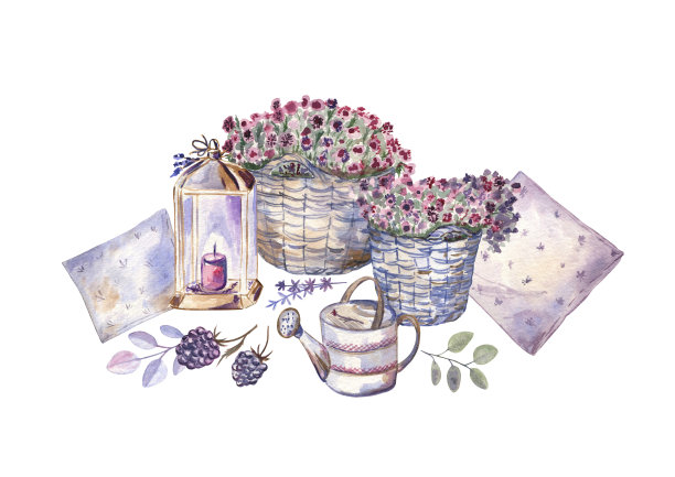 花篮的水彩插图，枕头，喷壶，花园灯笼，黑莓，和香草。图片下载