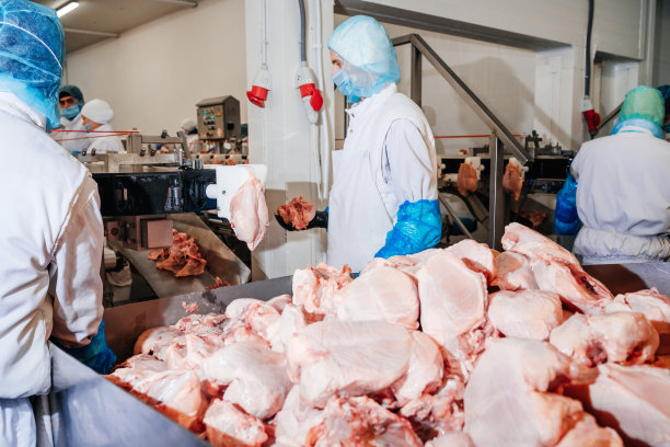 肉类加工厂。鸡柳生产线。现代化食品厂的自动化生产线。传送带上的食物。现代家禽加工厂。图片下载