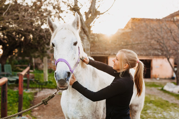 可爱的照片，一个年轻的金发女孩在马略卡岛乡村的户外马厩里给她的白色母马梳头图片下载