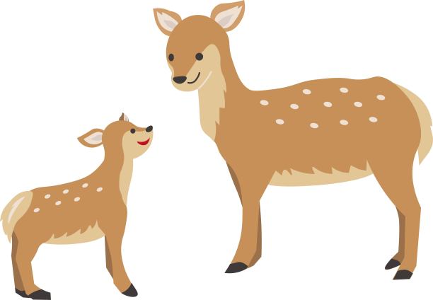 鹿父母和鹿孩子高兴地互相看着。图片下载