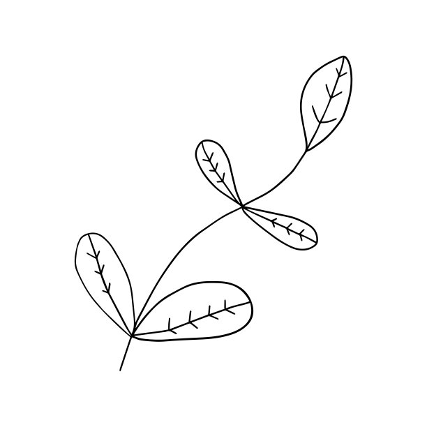 抽象的彩色涂鸦花与叶图片下载