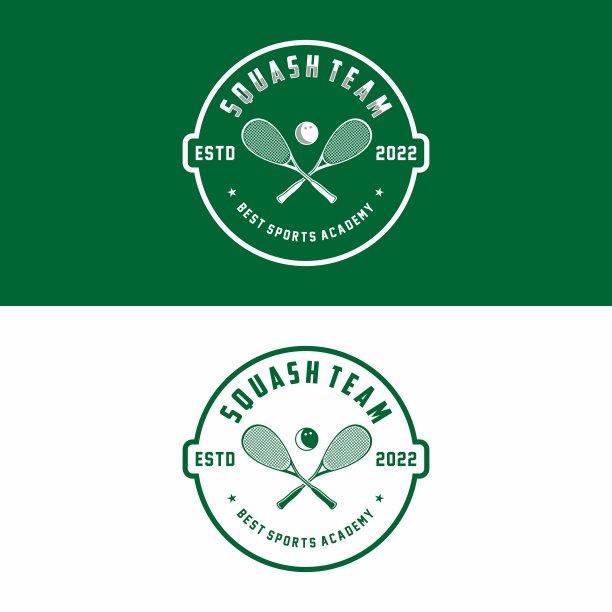 壁球徽章图标在现代极简主义风格图片下载