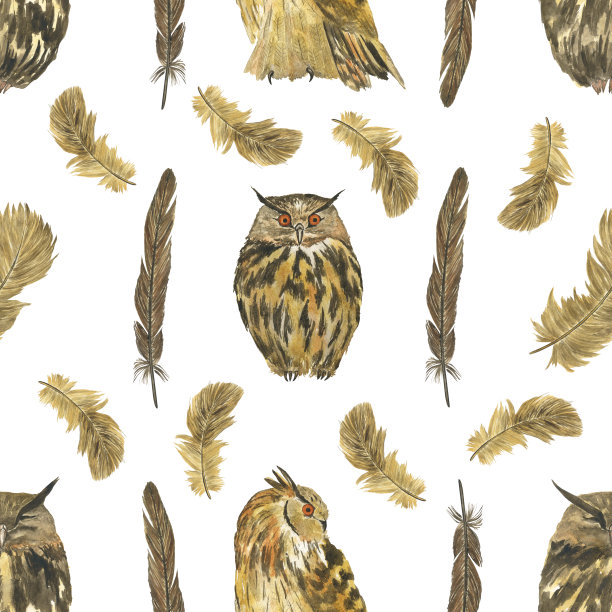 水彩棕色猫头鹰鸟在无缝图案在白色背景上。手绘插图。适合纺织，包装，数码纸。图片下载