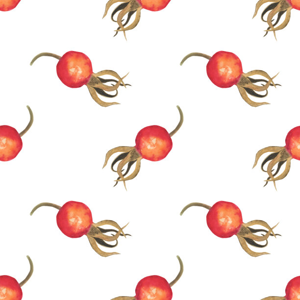 蔷薇浆果，无缝图案，孤立在白色背景上。水彩手绘插图。适合食品设计，纺织，包装。图片下载