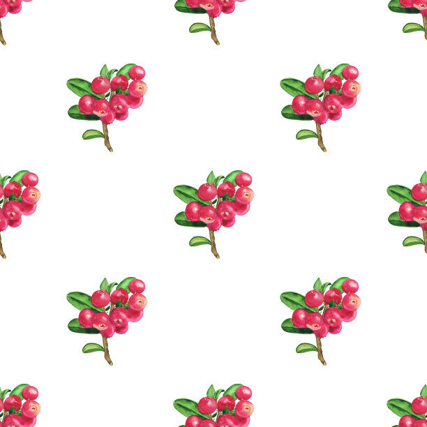 水彩越橘无缝图案在白色背景。手绘插图。非常适合做纺织品或壁纸。图片下载