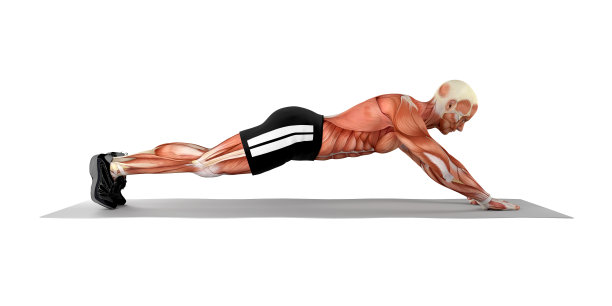 一个健康的人，做伸展平板运动的3D插图图片下载