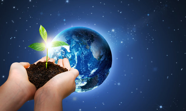 《太阳系星空中的地球》背景中的植物。图片下载