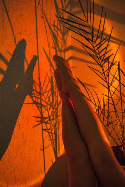 在投射在夕阳下的灯光和室内植物棕榈叶的阴影下，女人的腿向上翘着。图片下载