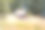 车辆的视线模糊，以红色为主。图片下载