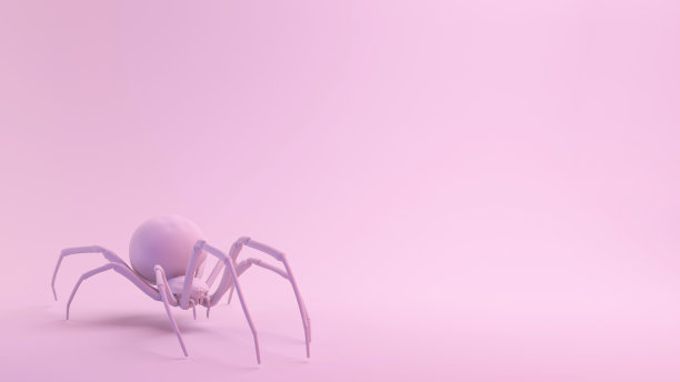 粉红系列黑寡妇蜘蛛图片下载