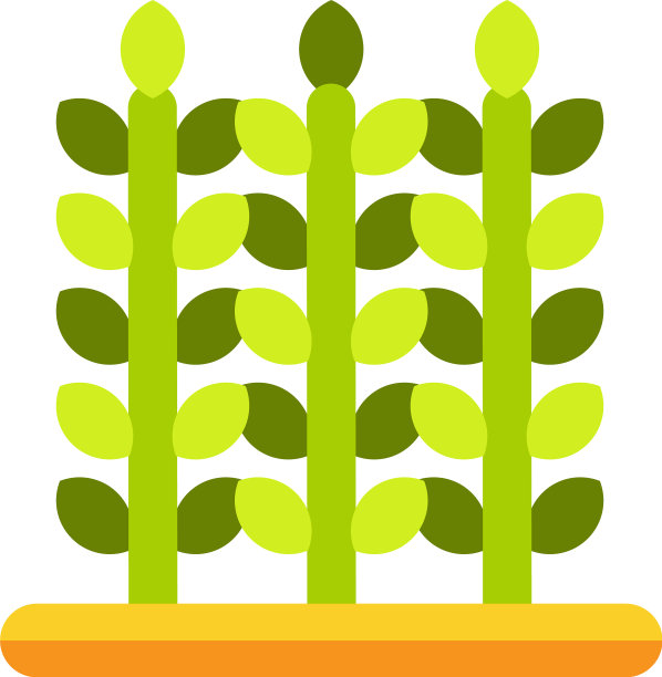 作物象征着从土壤中生长出来的绿色植物图片下载