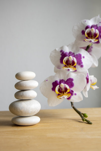 白色的石头堆叠在塔孤立在白色的背景与白色紫色兰花长茎上图片下载