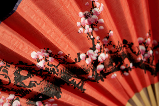 亚洲手扇图片下载