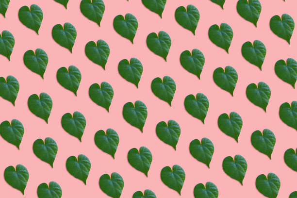 绿色心形的叶子图案在粉红色的背景图片下载