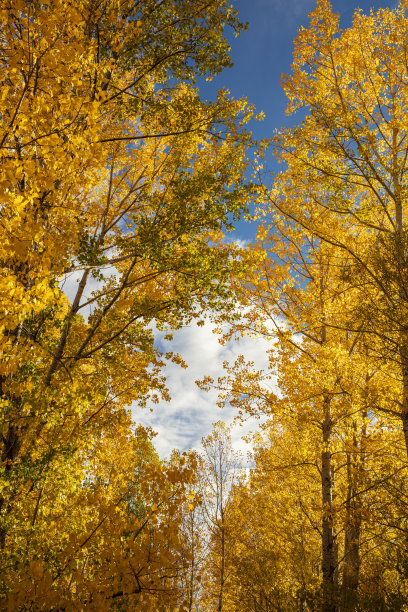 土耳其尼格德阿拉达格拉国家公园的德米卡兹克山。德米卡兹克山是阿拉达格拉最著名的山。图片下载
