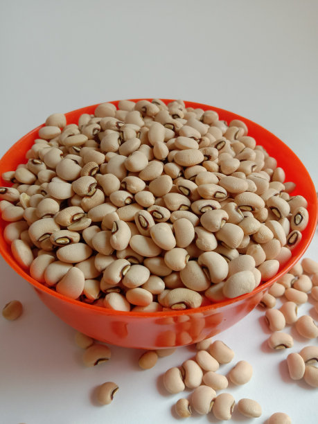 特写照片的白色豌豆或海军豆在一个橙色的塑料碗在孤立的白色背景图片下载
