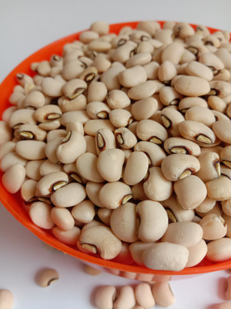 特写照片的白色豌豆或海军豆在一个橙色的塑料碗在孤立的白色背景图片下载