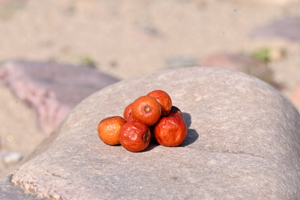 特写一束成熟的红橘色的野生浆果在石头上偏离焦点灰棕色的背景。图片下载