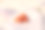 特写一束成熟的红橘色的野生浆果在石头上偏离焦点灰棕色的背景。图片下载