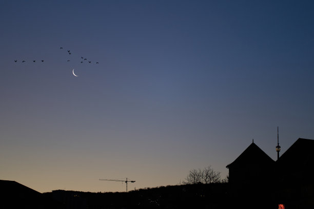 城市在新月的早晨。居民楼之间的电视塔。施工起重机在地平线上。天上飞过的几只鸟。在轮廓。德国斯图加特。图片下载
