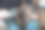 一名男子用刷子给他的灰宠物猫梳理皮毛图片下载