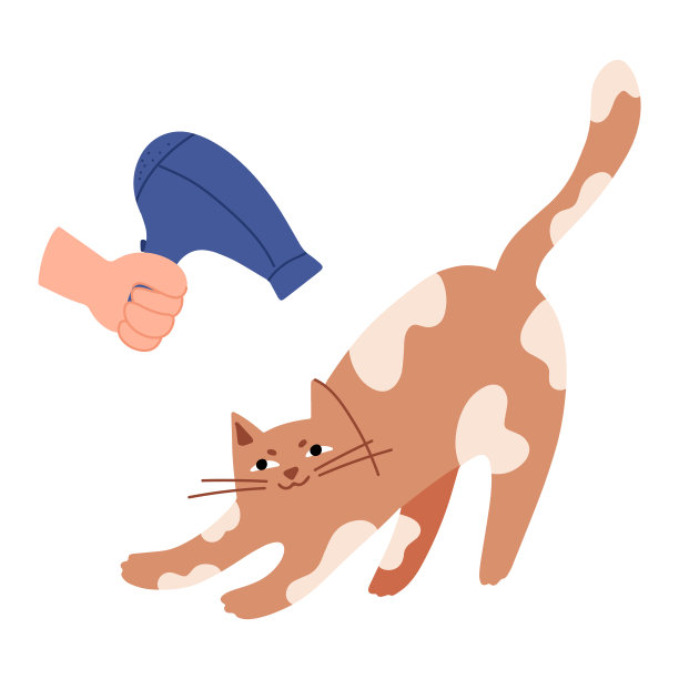 美容师手拿吹风机吹干猫的头发。美发沙龙，造型和美容店，宠物店，猫的兽医。图片下载