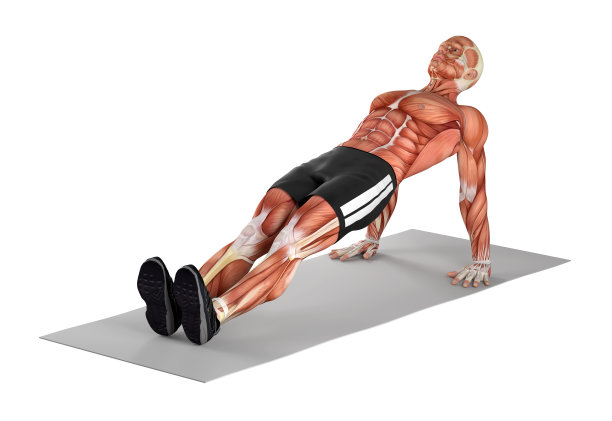 一个健康的人，做反向平板支撑运动的3D插图图片下载