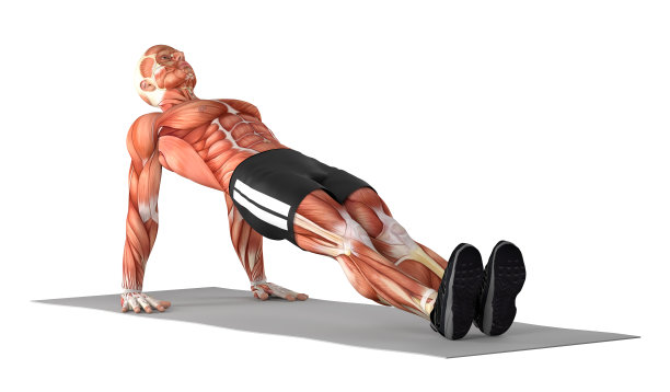 一个健康的人，做反向平板支撑运动的3D插图图片下载