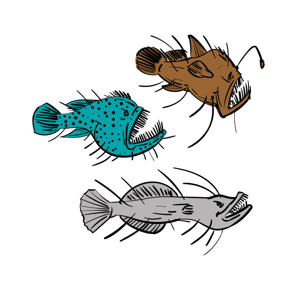 钓鱼者深海鱼手绘图集。矢量图图片下载
