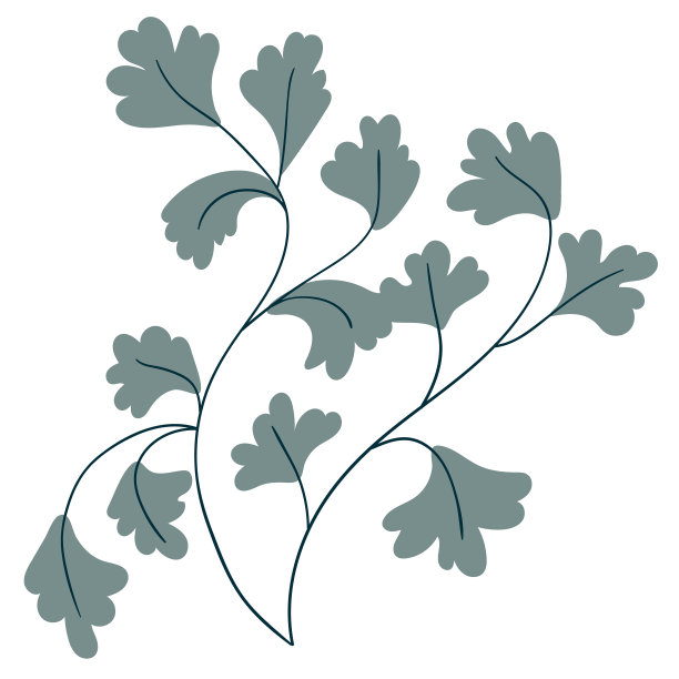 波西米亚风格的森林植物。蕨类，马尾类，叶，枝图片下载