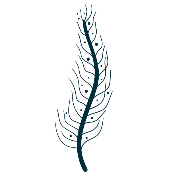 波西米亚风格的森林植物。蕨类，马尾类，叶，枝图片下载