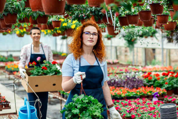 两个女花匠在温室里种花。图片下载