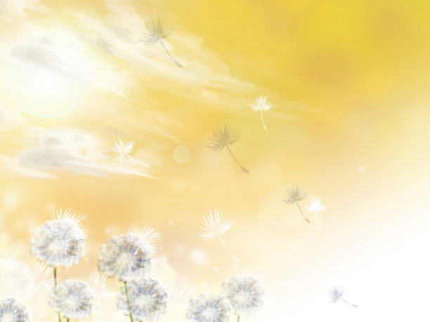 水彩蒲公英飘在空中图片下载