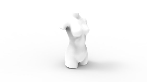 3D渲染的女性躯干孤立在白色工作室背景图片下载
