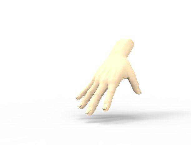 3d渲染与手腕孤立在白色背景展开的手图片下载