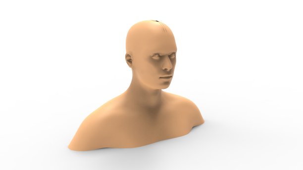 在白色背景中隔离的人体模型的3d渲染图片下载