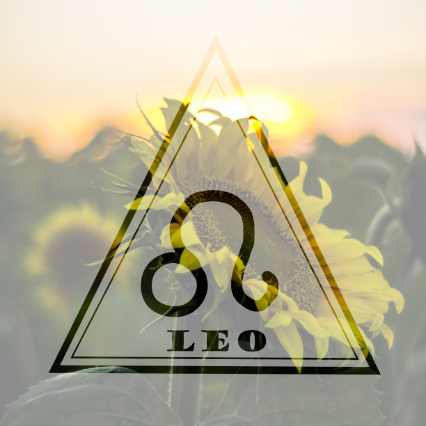 三角形中的狮子座，火象星座，日落和向日葵背景图片下载