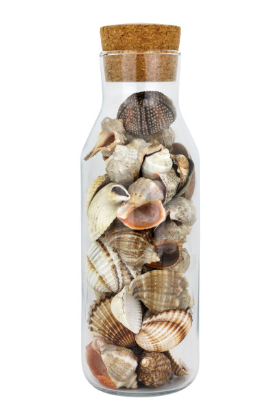 白色背景的玻璃罐里的贝壳。图片下载
