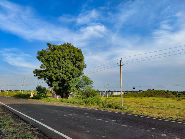 印度乡村风景照片：一位老人穿着传统服装，头戴黄色头巾，走在通往村庄的沥青路上，周围是草原和金合欢树图片下载