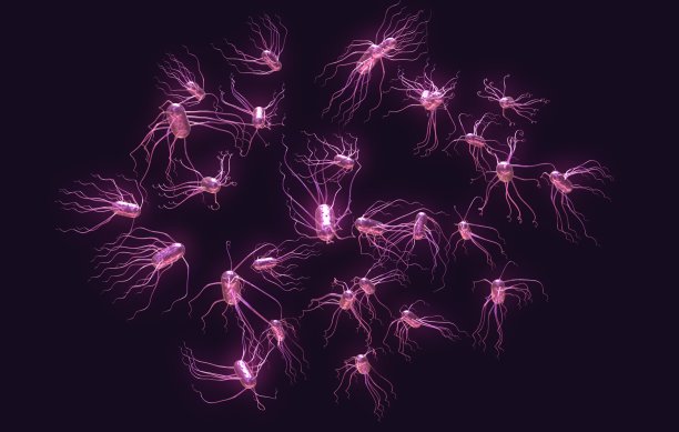 沙门氏菌，沙门氏菌病的病原体。图片下载