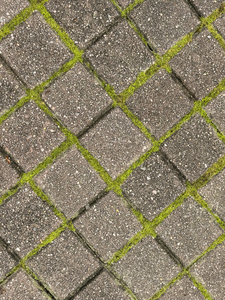 有图案的花园小径图片下载