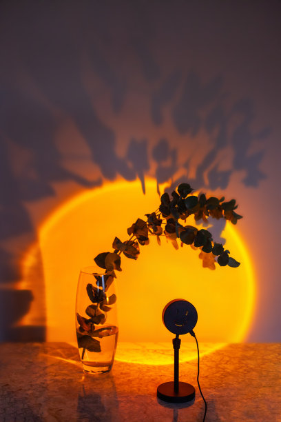 投射的晚霞灯照亮了一个玻璃花瓶，上面插着桉树的枝叶图片下载