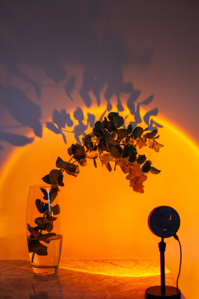 投射的晚霞灯照亮了一个玻璃花瓶，上面插着桉树的枝叶图片下载